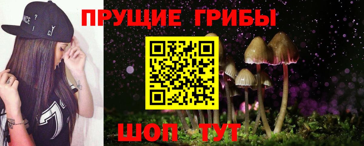 Аша  Галлюциногенные грибы Cubensis  Вход с VPN  Галлюциногенные грибы MAGIC MUSHROOMS 