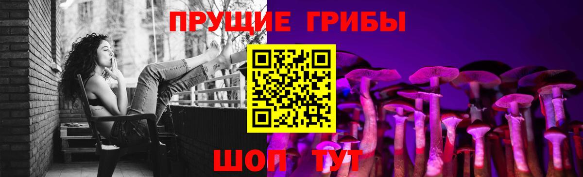 Галлюциногенные грибы Psilocybe Аша