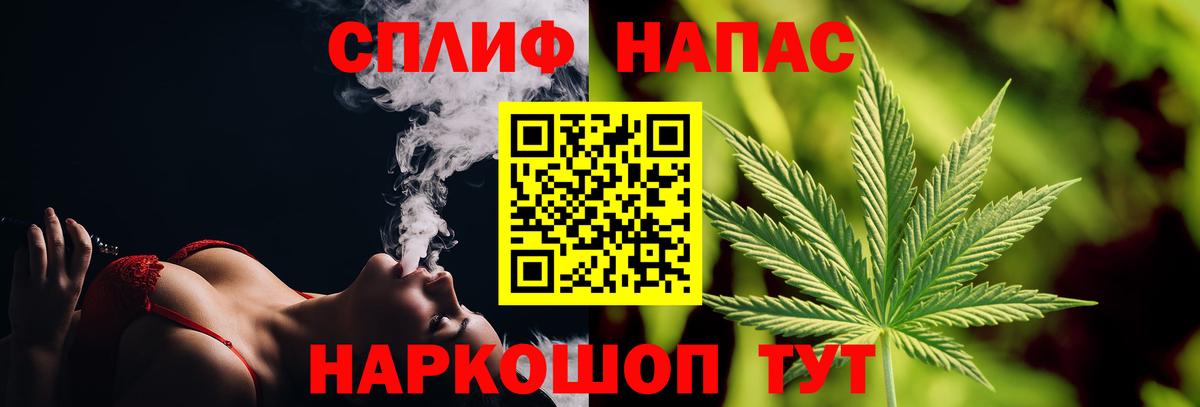 Канабис гибрид Аша